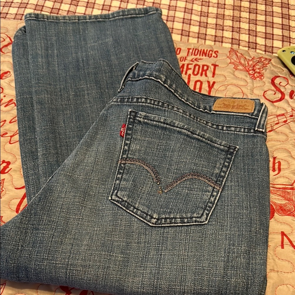 Levi's Blue Denim Jeans
